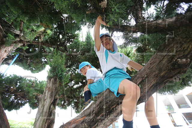 %_tempFileNamee437%
