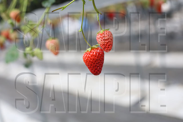 %_tempFileNameTKM_1168%