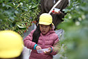 %_tempFileNameTKM_1293%